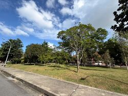 Sunbird Road (D16), Semi-Detached #585406531